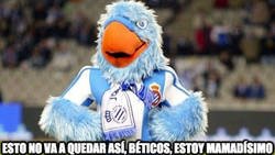 Enlace a Los pericos están cabreados con el Betis