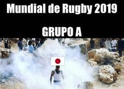 Enlace a Los grupos del Mundial de Rugby