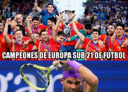 Enlace a Un gran año para el deporte español