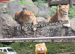 Enlace a Son dos equipos completamente distintos