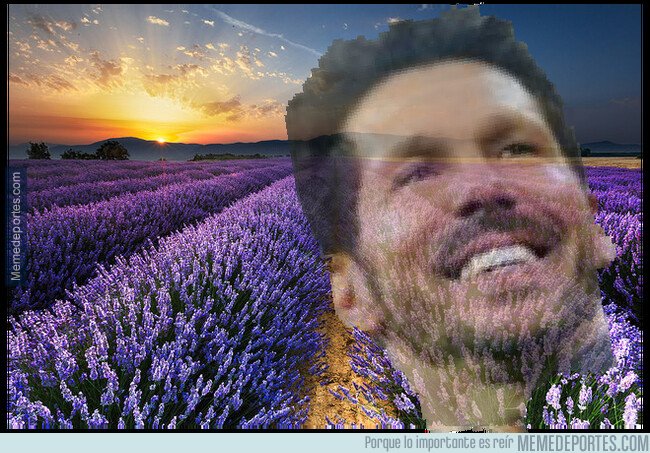 1086157 - La flor de Simeone