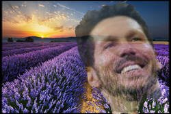 Enlace a La flor de Simeone