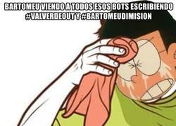 Enlace a Madre mia, los bots.