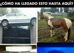 Enlace a ¿Marcelo en el 11 ideal?