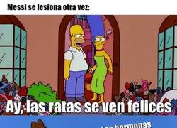 Enlace a Despues de lo del The Best, encuentra un alivio