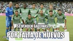 Enlace a Se venden gallinas