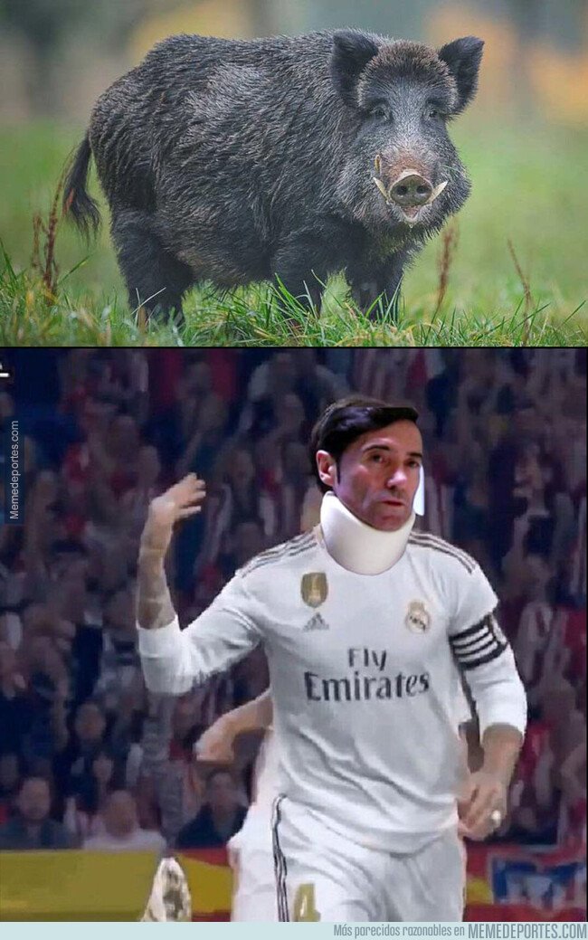 1087249 - Levanta que no ha sido para tanto