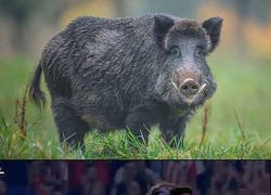 Enlace a Levanta que no ha sido para tanto