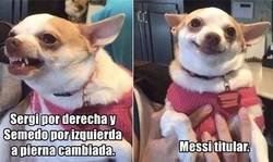 Enlace a Nunca se esta del todo satisfecho