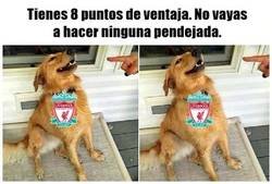 Enlace a Ya lo vimos el año pasado.