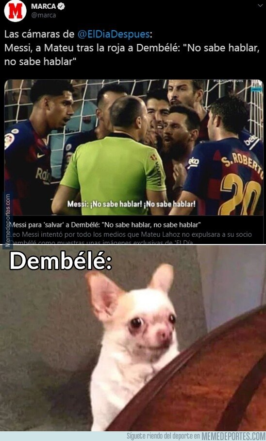 1087924 - Esperemos que tampoco sepa escuchar