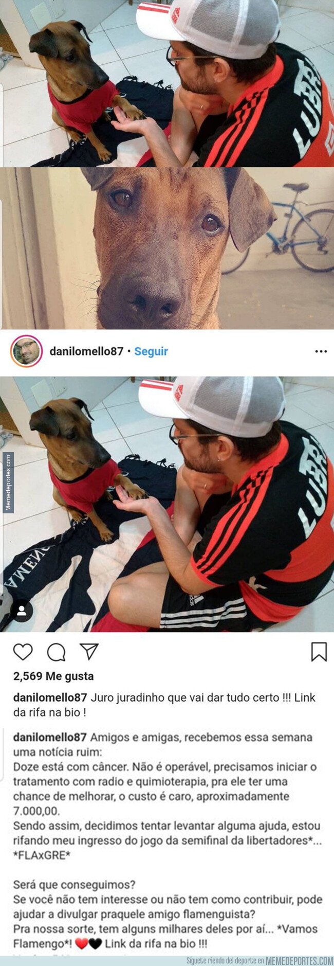 1088124 - Un hincha del Flamengo vende su entrada de la semifinal de la Copa para curar el cáncer de su perro