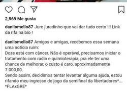 Enlace a Un hincha del Flamengo vende su entrada de la semifinal de la Copa para curar el cáncer de su perro
