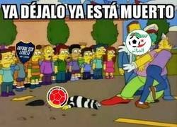 Enlace a Argelia liquida a Colombia