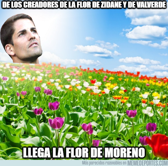 1088560 - La flor de Moreno
