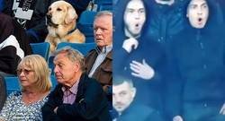 Enlace a Compórtate como un animal.