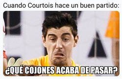 Enlace a El pobre Thibu no está acostumbrado