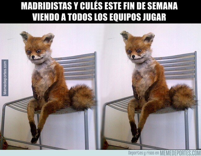 1089292 - ¿Y ahora qué?