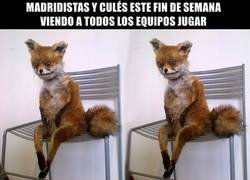 Enlace a ¿Y ahora qué?