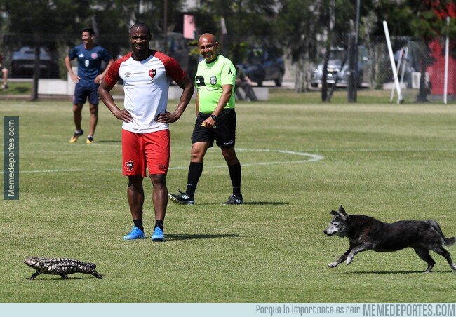 1089295 - Mientras tanto en Argentina...