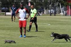 Enlace a Mientras tanto en Argentina...