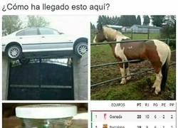 Enlace a Sin duda el Granada es la sorpresa de esta temporada de 1ª División Española de fútbol