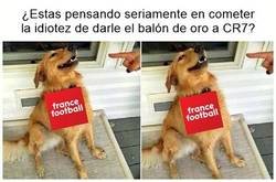 Enlace a Espera y verás