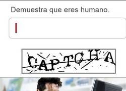 Enlace a Le hemos encontrado un imposible a Leo