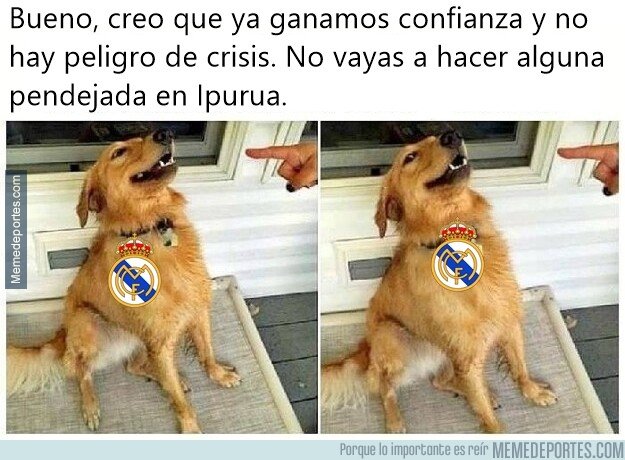 1090558 - Nunca se puede estar tranquilo con Zizou