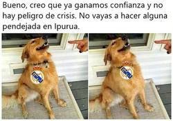 Enlace a Nunca se puede estar tranquilo con Zizou