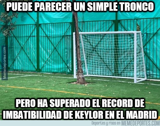 1090608 - No era tan tronco, después de todo