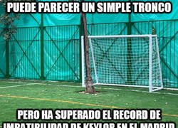 Enlace a No era tan tronco, después de todo