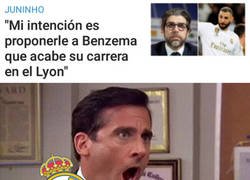 Enlace a Petición denegada