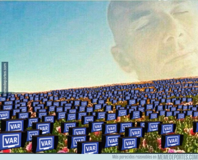 1092149 - La flor de Zidane toma otra connotación