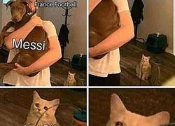 Enlace a Solo le queda llorar