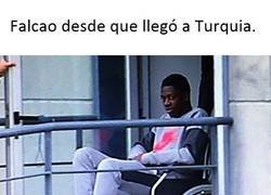 Enlace a ¿Qué le pasa al tigre?