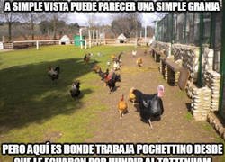 Enlace a Pochettino finalmente volvió a su granja