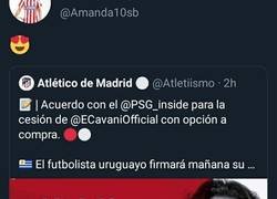 Enlace a Ha caído una