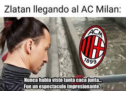 Enlace a Se encontrará un auténtico desastre