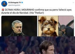 Enlace a Vamos, José. Que tampoco es para tanto...