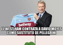 Enlace a No creo que ningún 'hammer' esté dando saltos de alegria