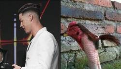 Enlace a Cristiano al enterarse de la llegada de Ibra a Italia..., por @Llourinho