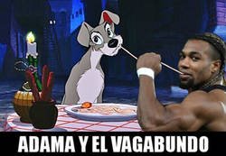 Enlace a La tontería del día