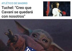 Enlace a La opción Cavani se diluye para el Atlético
