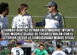 Enlace a Dejen jugar a los que más saben de esto