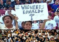 Enlace a ¿Qué pasó?