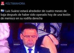 Enlace a Un reemplazo para Lucho