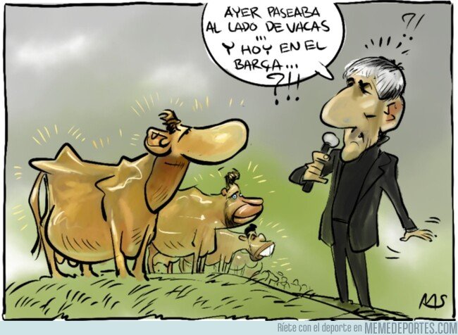 1095884 - En el Barça también hay vacas, pero estas son sagradas, por @yesnocse