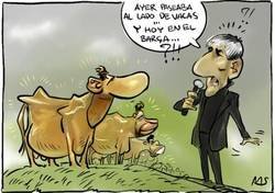 Enlace a En el Barça también hay vacas, pero estas son sagradas, por @yesnocse