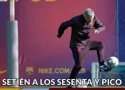 Enlace a No estamos hechos de la misma caña
